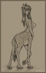 border breasts female hooves horn humanoid_face long_neck nipples nude ossicone simple_background solo tail vera_(artist) giraffe giraffid giraffid_taur humanoid_taur mammal mammal_taur taur digital_media_(artwork) monochrome shaded signature soft_shading