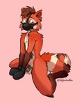 anthro chastity_cage chastity_device embarrassed exposed genitals humiliation male mitts muzzle_(object) muzzled nude_male penis phallic_chastity_device solo skylardoodles ironthepandafox ailurid mammal red_panda hi_res