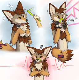 5_fingers accessory annoyed anthro blep blush blush_lines bracelet brown_body brown_fur claws collar confusion crossed_arms dew fingers fur furgonomics grey_body grey_fur hair handpaw jewelry kerchief looking_at_viewer male pawpads paws raised_arms simple_background solo surprised tail tail_accessory tan_body tan_fur text tongue tongue_out tracking_collar white_body white_fur ctahrpoe casey_coyote_(ctahrpoe) canid canine canis coyote mammal 2025 digital_media_(artwork) english_text hi_res meme