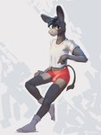 5_fingers anthro balls_outline biped black_hair bottomwear brown_body brown_fur bulge clothed clothing crop_top detailed_bulge erection fingers footwear fully_clothed fur genital_outline hair humanoid_hands long_ears looking_at_viewer male penis_outline plantigrade red_bottomwear red_clothing red_shorts shirt shorts simple_background sitting slim socks solo t-shirt tail tail_tuft topwear tuft white_background white_clothing white_shirt white_t-shirt white_topwear 7b7a2f asinus donkey equid equine mammal 2025 3:4 absurd_res digital_media_(artwork) digital_painting_(artwork) hi_res painting_(artwork) shaded watermark