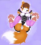 4_toes anthro anus balls blue_eyes butt chastity_cage chastity_device clothing feet femboy genitals lock maid_uniform male padlock pawpads paws penis simple_background solo toes tongue tongue_out uniform fyre_wolffie luvini canid canine fox mammal hi_res