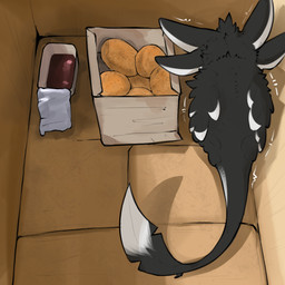4_ears ambiguous_gender big_tail black_body black_feathers black_fur box cardboard cardboard_box chicken_meat chicken_nugget container emanata fast_food fast_food_(food) feathered_wings feathers feral folded_wings food fur hair high-angle_view in_box in_container ketchup long_tail meat motion_lines multi_ear nude rear_view sauce shaking shivering simple_background sitting sitting_in_box solo tail tuft tufted_fur white_body white_feathers white_fur wings reetogoth fyr_(fenrir784) avali avian bird 1:1 2025 colored digital_drawing_(artwork) digital_media_(artwork) hi_res meme shaded simple_shading