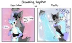 anthro bathing biped black_body black_fur blue_body blue_fur carrying_another carrying_partner duo fingerless_(marking) fur gloves_(marking) grey_body grey_fur male markings showering showering_together text water white_body white_fur spraykitty expectation_vs_reality canid canine fox mammal 2024 digital_drawing_(artwork) digital_media_(artwork) english_text