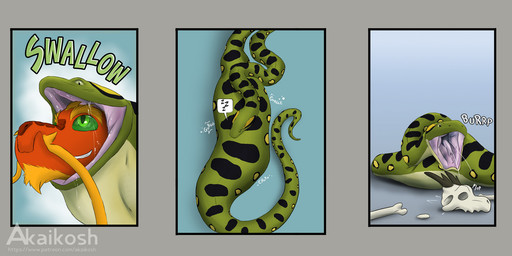 ambiguous_gender belly big_belly black_stripes bond bone burping burping_up_bones burping_up_object death digestion duo fatal_vore feet_first feral feral_pred feral_prey green_body grey_background hair orange_body orange_hair simple_background skull stripes vore akaikosh mythology anaconda boa_(snake) boinae dragon mythological_creature mythological_scalie reptile scalie snake 2026 comic hi_res watermark