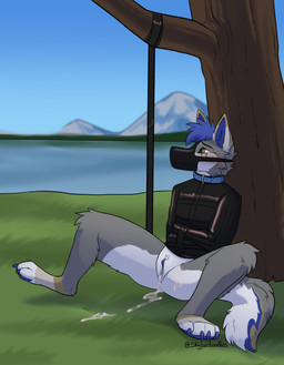 against_natural_surface against_surface against_tree andromorph anthro bdsm blue_body blue_claws blue_collar blue_fur blue_genitals blue_hair blue_pawpads blush bodily_fluids bondage bondage_gear bondage_gear_only bound claws collar collar_ring cum cum_from_vagina cum_in_vagina cum_inside cum_on_ground cum_on_leg facial_scar fur genital_fluids green_eyes grey_body grey_fur hair intersex muzzle_(object) muzzled pawpads plant restraints scar sitting sitting_on_ground solo spread_legs spreading straitjacket tan_body tan_fur tree white_body white_fur skylardoodles wolfskin_torske canid canine canis mammal wolf hi_res
