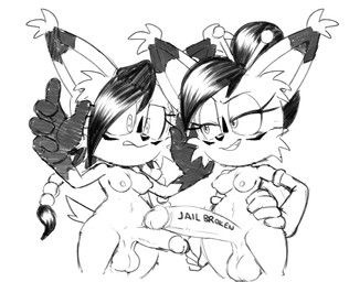 accessory anthro balls big_penis black_hair braided_hair breasts clone duo erection genitals gynomorph hair hair_accessory hairpin hand_on_hip intersex narrowed_eyes nude nude_gynomorph penis smug_face smug_grin square_crossover tail worried_look guillion archie_comics sega sonic_the_hedgehog_(archie) sonic_the_hedgehog_(comics) sonic_the_hedgehog_(series) iron_nicole nicole_the_lynx felid feline lynx mammal hi_res monochrome