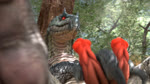 16:9 2_penises 3d_(artwork) animal_genitalia animal_penis animated capcom claws digital_media_(artwork) dragon fanged_wyvern feral genitals hemipenes hi_res leaning leaning_backward looking_down loop low-angle_view male masturbation monster_hunter multi_genitalia multi_penis mythological_creature mythological_scalie mythology no_sound outside penile penile_masturbation penis plant scalie short_playtime solo spread_legs spreading thepasserbye tobi-kadachi tree webm widescreen