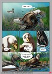 accipitrid accipitriform avian bald_eagle bird bitterstrawberries blood bodily_fluids breath comic digital_media_(artwork) eagle english_text exhausted female feral fish group hi_res lake laurel_(bitterstrawberries) lily_pad loon lunge_(bitterstrawberries) marine partially_submerged plant sea_eagle shoreline swimming text trio water zandra_(bitterstrawberries)