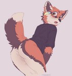 anthro bottomless bottomless_female clothed clothing female fur genitals looking_at_viewer orange_body orange_eyes orange_fur pussy simple_background solo maxmushroom canid canine fox mammal 2022 absurd_res digital_media_(artwork) hi_res