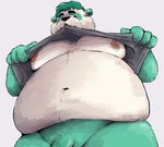 belly biting_shirt cheeky_smile chests flashing fupa genitals male moobs nipples penis slightly_chubby solo mamayong_(artist) yong_(mamayong) bear giant_panda humanoid mammal cropped hi_res