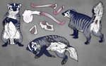 animal_genitalia anus balls blue_body blue_eyes blue_fur claws erection feral finger_claws fur genitals grey_body grey_fur herm intersex penis raised_tail sheath snout striped_body striped_fur stripes tail toe_claws vulva white_body white_fur technesaurus american_badger badger mammal mustelid musteline 2024 absurd_res hi_res