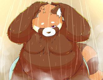 anthro bathing belly big_belly brown_body brown_fur fur kemono male moobs one_eye_closed overweight overweight_male solo bari_mu ailurid mammal red_panda 2024 absurd_res hi_res