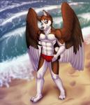 anthro beach clothed clothing detailed_background dog_tags feathered_wings feathers german inuzuka juston_inuzuka male outside panties sand sea seaside solo topless underwear walking water wave wings recurrent lareth_inuzuka canid canine canis domestic_dog husky mammal nordic_sled_dog spitz wolf