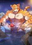 abs anthro arm_scar balls biped blush blush_lines chest_scar detailed_background erection eyebrows fur genitals hot_spring humanoid_genitalia humanoid_penis male muscular muscular_anthro muscular_male nude onsen open_mouth orange_body orange_eyes orange_fur pecs penis scar sitting_in_water solo steam striped_body striped_fur stripes thick_eyebrows water white_body white_fur iriai_inasa knights_college grantly_bell felid mammal pantherine tiger 2021 digital_drawing_(artwork) digital_media_(artwork) hi_res