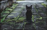 ambiguous_gender black_body black_fur cobblestone feral fur glowing glowing_eyes grass moss plant quadruped solo street young young_feral knami domestic_cat felid feline felis mammal painting_(artwork) traditional_media_(artwork) traditional_painting_(artwork) traditional_watercolor_(artwork) watercolor_(artwork)