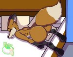 anthro anus ass_up balls big_butt butt dipstick_ears dipstick_limbs dipstick_tail ear_markings feet femboy foxy_vir genitals looking_at_viewer male markings mitsu_the_sune multicolored_ears nude pawpads paws solo tail tail_markings mitsukaithekitsune_(artist) mitsuthesune canid canine fox mammal red_fox true_fox absurd_res hi_res