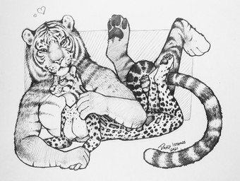 anthro areola breasts cuddling duo female hand_holding hand_on_shoulder hanging_breasts heart_symbol male male/female nipples nude size_difference spots stripes danji-isthmus felid leopard mammal pantherine tiger 2021 graphite_(artwork) monochrome sketch traditional_media_(artwork)