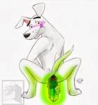 anal anal_penetration anthro anus balls blush gaping gaping_anus glowing improvised_sex_toy kryptonite male penetration red_eyes solo translucent rcc2002 cartoon_network dc_comics krypto_the_superdog krypto canid canine canis domestic_dog mammal 2013 hi_res