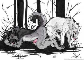 all_fours anal anal_knotting anal_penetration animal_genitalia animal_penis anthro anthro_on_bottom anthro_on_feral anthro_penetrated ass_to_ass bestiality black_nose canine_genitalia canine_penis claws countershade_torso countershading digitigrade duo erection fangs feral feral_on_top feral_penetrating feral_penetrating_anthro finger_claws fur genitals grass grey_body grey_fur grey_pawpads inner_ear_fluff intraspecies intraspecies_bestiality knotting male male/male male_on_bottom male_on_feral male_on_top male_penetrated male_penetrating male_penetrating_male nude on_bottom on_top open_mouth pawpads penetration penile penile_penetration penis penis_in_ass pink_penis plant quadruped raised_tail rounded_back sex snout tail teeth text toe_claws tongue tongue_out tree tuft whiskers white_body white_fur yellow_eyes heatherwolf canid canine canis mammal wolf url