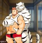 abs anthro barazoku black_stripes clothed clothing clothing_lift duo fur genitals human_on_anthro humanoid_genitalia humanoid_penis interspecies male male/male markings muscular penis pubes selfcest shirt shirt_lift square_crossover striped_body striped_markings striped_tail stripes tail tail_markings topwear underwear white_body gid_g11 felid human mammal pantherine tiger hi_res