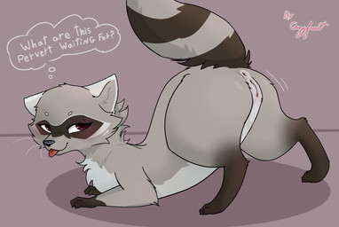 anus butt facial_markings female feral fur fur_markings genitals grey_body grey_fur head_markings markings mask_(marking) presenting presenting_hindquarters red_eyes solo text thick_thighs tongue tongue_out toony tuft vulva cozyfruit fennel_(cozyfruit) mammal procyonid raccoon hi_res