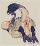 animal_genitalia avian-king big_breasts black_border border breasts busty_feral butt claws cloaca dinosaur female feral genitals hi_res huge_breasts non-mammal_breasts prehistoric_species raised_tail rear_view reptile scalie solo tail tail_anus theropod