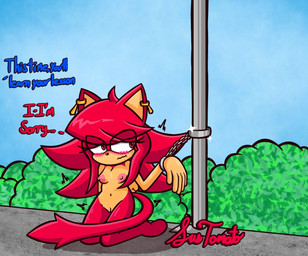 anthro areola blush breasts cuff_(restraint) dialogue ear_piercing female genitals handcuffed handcuffed_to_pole handcuffs metal_cuffs navel nipples nude outside piercing public public_nudity restraints solo tail vulva sussytomato sega sonic_the_hedgehog_(series) lindsey_(sussytomato) domestic_cat felid feline felis mammal hi_res