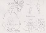 anthro antlers anus backsack balls beastars black_and_white bodily_fluids butt canid canine canis cervine deer dialogue drooling duo erection feet foot_fetish foot_focus genitals greek_toe heart_symbol hindpaw horn humanoid_feet legoshi_(beastars) louis_(beastars) male male/male mammal monochrome nude open_mouth paws penis perineum plantigrade red_deer saliva short_tail speech_bubble tail thebigmansini traditional_media_(artwork) wolf