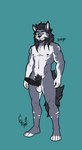 anthro athletic balls erection genitals humanoid_genitalia humanoid_penis male navel nipples nude penis plantigrade smile solo standing hunterramirez canid canine canis domestic_dog mammal wolf hi_res