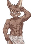 abs anthro band-aid bandage biceps bodily_fluids bulge clothing detailed_bulge excessive_sweat genital_outline male muscular muscular_male pecs penis_outline solo sweat towel towel_only translucent translucent_clothing leeksaltboy lagomorph leporid mammal rabbit hi_res