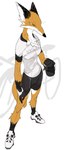 anthro athletic athletic_anthro athletic_female bicycle biped bodily_fluids bottomwear clothing female footwear fur glistening glistening_clothing kemono lacing markings mole_(marking) orange_body orange_fur shoelaces shoes shorts simple_background sneakers solo spandex spandex_shorts sweat tight_bottomwear tight_clothing tight_shorts vehicle white_background white_body white_fur quququl canid canine fox mammal 2020 absurd_res hi_res