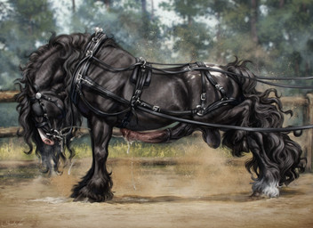 animal_genitalia animal_penis balls belly_slapping_masturbation black_balls black_body black_fur black_mane black_penis black_tail bodily_fluids cum cum_on_face cum_on_own_face cum_on_own_penis cum_on_penis cum_on_self cumshot day dust ejaculation equine_genitalia equine_penis erection fence feral fur genital_fluids genitals grass harness male male_feral mane medial_ring open_mouth outside penis plant quadruped red_penis side_view sky solo tail tree scarlanya equid equine horse mammal absurd_res hi_res huge_filesize