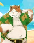 anthro beach belly blush clothing kemono male moobs navel outside overweight overweight_male palm_tree plant solo swimwear tree water snow_utamaru anothereidos_of_dragon_vein_r bonvoy_(anothereidos_r) domestic_cat felid feline felis mammal 2024 hi_res