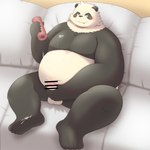 anthro balls belly big_belly black_body black_nose bodily_fluids cum cum_on_chest cum_on_feet detailed_background erection feet furniture genital_fluids genitals kemono male overweight overweight_male penis sex_toy sitting sofa solo white_body tai_tanuki bear giant_panda mammal 1:1 2024 hi_res