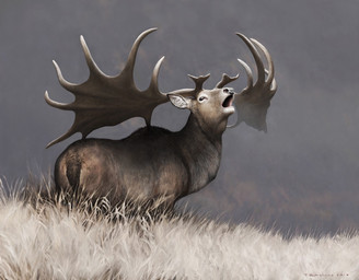 brown_body brown_fur feral fur gradient_fur grass huge_antlers male plant quadruped realistic realistic_feral solo tan_body tan_fur renum63 cervine deer mammal megaloceros prehistoric_species 2017 artrage_(artwork) detailed digital_media_(artwork) digital_painting_(artwork) painting_(artwork)