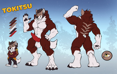 abs animal_genitalia animal_penis anthro arm_tuft back_markings balls black_claws black_pawpads brown_body brown_fur brown_hair canine_genitalia canine_penis cheek_tuft claws color_swatch cutaway elbow_tuft erection facial_tuft fangs front_view fur genitals gesture glistening glistening_eyes hair hand_in_pocket head_tuft looking_at_viewer male male_anthro markings muscular muscular_anthro muscular_male narrowed_eyes navel neck_tuft nude pawpads pecs penis pockets pose rear_view red_penis short_hair smile solo standing tail teeth tuft waving waving_at_viewer white_balls white_body white_fur white_tail yellow_eyes solaxe_(artist) tokitsu canid canine mammal hi_res model_sheet