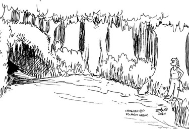 anthro bottomwear breasts clothing duo facial_markings female feral forest fur hair head_markings markings mask_(marking) outside pants plant shirt shrub tail tank_top topwear tree tegerio aelfi_mistreed_(character) domestic_ferret mammal mustelid musteline true_musteline weasel 2024 greyscale monochrome