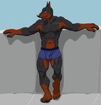 5_toes abs anthro black_body black_fur black_nose black_pawpads blue_eyes brown_body brown_fur brown_markings bulge chain_necklace claws clothed clothing detailed_bulge feet fingers full_foot_pawpads fur gloves_(marking) grey_claws humanoid_feet jewelry leaning leaning_on_wall leg_markings looking_aside male markings muscular muscular_anthro muscular_male navel necklace nipples outside pawpads pecs pivoted_ears plantigrade pose smile socks_(marking) solo spread_arms standing toe_claws toes underwear underwear_only whisker_spots chestnuts_(artist) linkin canid canine canis dobermann domestic_dog mammal pinscher full-length_portrait pinup portrait shaded