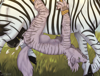 abdominal_bulge animal_genitalia anthro anthro_on_feral anthro_penetrated balls belly_riding bestiality bodily_fluids bound cum cum_inside duo equine_genitalia faceless_character feral feral_penetrating feral_penetrating_anthro genital_fluids genitals head_back large_penetration male male/male nature nature_background penetration penile penile_penetration penis restraints sex side_view size_difference natebooze cizek equid equine hyena mammal striped_hyena zebra absurd_res hi_res