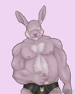 anthro barazoku belly clothing male mature_anthro mature_male solo underwear fauna_island hare lagomorph leporid mammal rabbit 4:5 hi_res