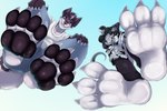 3_toes 4_toes abs against_surface anthro barefoot claws clothing duo feet female foot_focus male on_glass pawpads paws smile soles toe_claws toes jazzumi canid canine mammal scalie