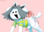 anthro balls bottomless clothed clothing disembodied_penis duo genitals hair male male/male penis shirt simple_background tongue tongue_out topwear white_body bunny_nebula undertale undertale_(series) temmie_(undertale) human mammal tem