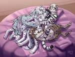 anthro bed black_hair breasts brown_hair canon_x_oc chest_tuft cuddling featureless_breasts feet female female/female fur furniture gloves_(marking) grey_body grey_fur group hair harem hug hugging_another hugging_from_behind leg_markings male male/female markings muscular nude pawpads paws pillow sleeping socks_(marking) spots stripes tuft white_body white_hair heresy_(artist) twokinds adira_riftwall amelia_(twokinds) harry_campbell kathrin_vaughan canid canine felid hybrid keidran mammal pantherine snow_leopard tiger 2021 4:3 digital_media_(artwork) full-length_portrait portrait shaded sibling_(lore) sister_(lore) sisters_(lore)