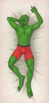 3_fingers anthro bulge clothing dakimakura fingers male muscular solo underwear tres-art star_wars alien lizard reptile scalie trandoshan absurd_res dakimakura_design hi_res