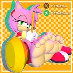 5_toes anthro clothed clothing feet female foot_fetish foot_focus looking_at_viewer soles solo toes two_tone_feet panettou sega sonic_the_hedgehog_(series) amy_rose 1:1 3d_(artwork) digital_media_(artwork) hi_res