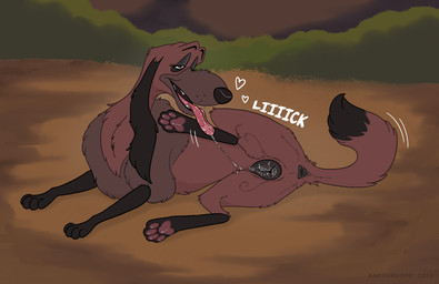 anatomically_correct anatomically_correct_anus animal_genitalia animal_vulva anus autocunnilingus bodily_fluids butt canine_genitalia canine_vulva female female_feral feral genitals licking masturbation oral oral_masturbation pawpads paws presenting presenting_hindquarters presenting_vulva raised_tail saliva saliva_on_vulva saliva_string self_lick solo spread_legs spreading tail tail_anus tongue tongue_out vaginal vaginal_masturbation vulva whisker_spots badfurgood disney lady_and_the_tramp ruby_(lady_and_the_tramp) afghan_hound canid canine canis domestic_dog hunting_dog mammal sighthound hi_res
