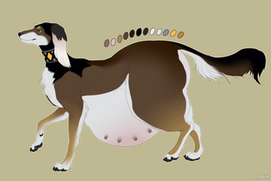 belly big_belly black_nose black_pawpads brown_body brown_fur chest_tuft female female_feral feral floppy_ears fur leg_tuft mouth_closed nipples orange_eyes pawpads pregnant pregnant_female pregnant_feral side_view simple_background solo text tuft white_body white_fur roobin canid canine canis domestic_dog mammal artist_name hi_res