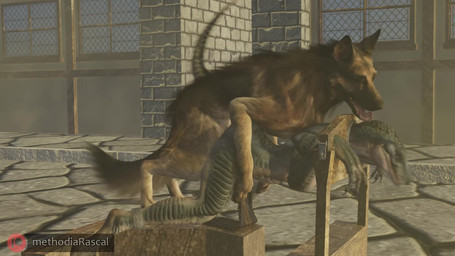 animal_genitalia anthro anthro_on_feral anthro_penetrated balls bestiality bottomwear bound breasts clothed clothing duo erection female female_on_bottom female_on_feral female_penetrated feral feral_penetrating feral_penetrating_anthro fur genitals loincloth loincloth_only looking_pleasured male male/female male_on_top male_penetrating male_penetrating_female nude on_bottom on_top open_mouth penetration penile penile_penetration penis penis_in_vagina realistic_feral restrained sex simple_background tongue topless vaginal vaginal_penetration methodia_rascal fallout microsoft dogmeat canid canine canis domestic_dog german_shepherd herding_dog lizard mammal pastoral_dog reptile scalie 16:9 3d_(artwork) 3d_animation animated blender_(artwork) digital_media_(artwork) hi_res no_sound short_playtime video widescreen