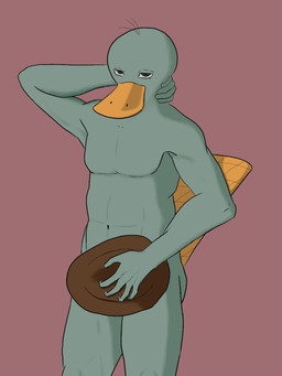 anthro hat_on_penis male musclegut muscular pose simple_background solo standing cooler_bamboo disney phineas_and_ferb perry_the_platypus humanoid mammal monotreme platypus 3:4 colored hi_res