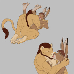 4_toes abs anal anal_penetration anthro anthro_on_anthro anthro_penetrated anthro_penetrating anthro_penetrating_anthro anus anvil_position athletic backsack balls beard biceps big_muscles big_penis black_nose brown_body brown_fur brown_hair butt claws curling_toes duo eyes_closed facial_hair fangs feet from_front_position fur genitals green_eyes grey_background hair hand_on_back hand_on_chest hand_on_shoulder head_grab hindpaw hug interspecies kissing kneeling legs_up long_hair love lying male male/male male_penetrated male_penetrating male_penetrating_male muscular muscular_male nipples nude on_back open_mouth paws pec_grab pecs penetration penile penile_penetration penis pink_nose plantigrade ponytail romantic romantic_couple sex simple_background soles spread_legs spreading standing tail tan_body tan_fur teeth toes tongue tongue_out spelunker_sal mondo_cruz virgil_(spelunker_sal) felid hare lagomorph leporid lion mammal pantherine 1:1